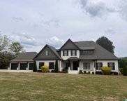 524 Coupland Road, Odenville image