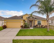1220 Water Willow Drive, Groveland image