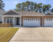 214 Swallowtail Ct., Little River image