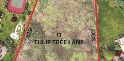 11 Tulip Tree Lane, Alpine