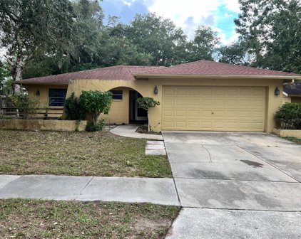 3101 Carriage Drive, Palm Harbor