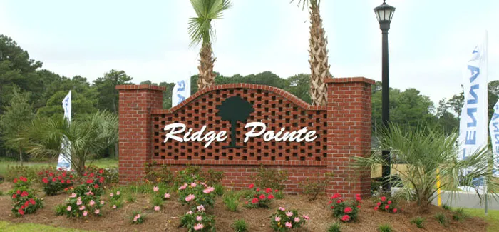Homes for Sale in Ridge Pointe, Conway
