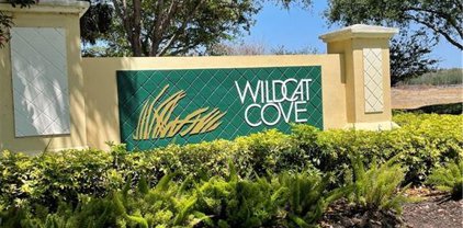 12589 Wildcat Cove Cir, Estero