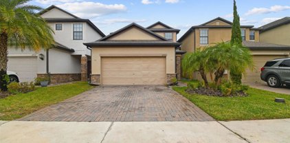 2715 Garden Falls Drive, Brandon