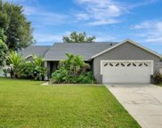 13022 Brown Bark Trail, Clermont image