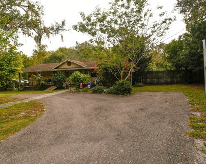 11045 Scott Loop, Riverview
