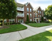 160 Shallowford Reserve Drive Unit #201, Lewisville image