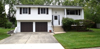 714 Boxwood Drive, Schaumburg