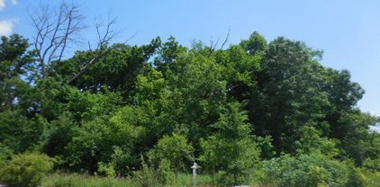 707,713,5079 Tuneberg, Tuneberg & Smokethorn, Belvidere