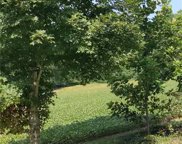 Lot 7 Conrad Road, Lewisville image