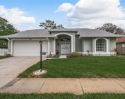 9548 Springmeadow Drive, New Port Richey image