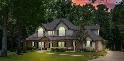 29222 Sky Forest Circle, Magnolia