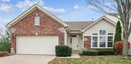 14736 Thornbird Manor  Parkway, Chesterfield