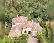 11819 Shire Wycliffe Court, Tampa image
