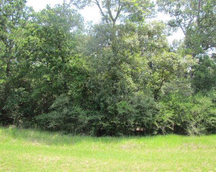 29310 Village Ridge Court, Magnolia