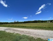 Tannehill Parkway, Mccalla image
