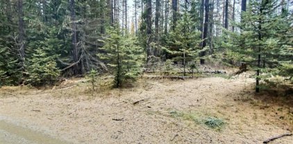 NKA Aspen, Priest River
