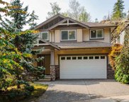13431 240th Street, Maple Ridge image