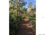 400 Volusian Forest Trail, Pierson image