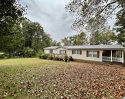 285 Forest View Circle, Hayden image