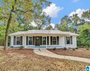 2200 Dogwood Trail, Gardendale image