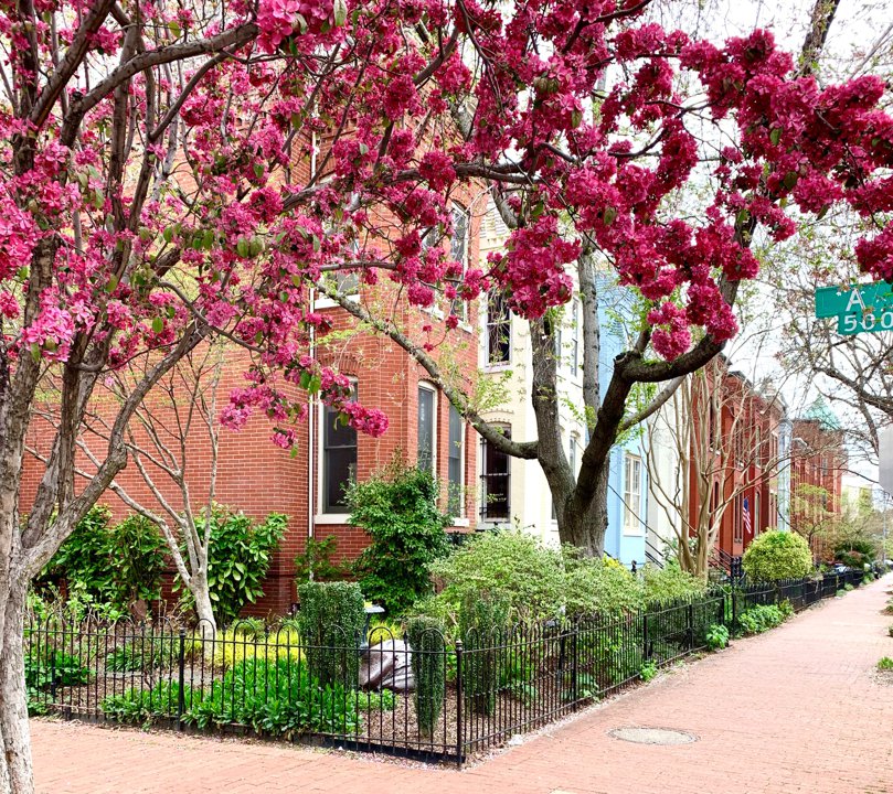 Northeast DC Condos With Elevator For Sale