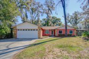 11502 River Country Drive, Riverview image