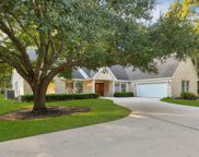 29006 Misty Oaks Drive, Huffman image
