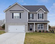 2130 Tributary Drive, Sevierville image