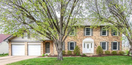14631 Oak Orchard  Court, Chesterfield