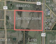 15 acres County Road 108, Town Creek image