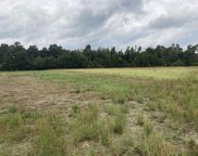 TBD Sandy Valley Rd., Galivants Ferry image