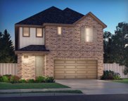 9619 Blue Water Hyssop, Conroe image