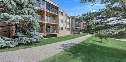 5627 Green Circle Drive Unit #212, Minnetonka