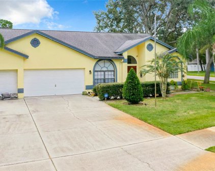 3358 Pattie Place, Palm Harbor