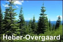 Heber-Overgaard Homes for Sale