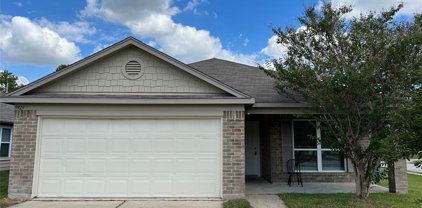 9929 Lace Flower Way, Conroe