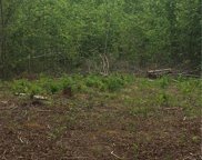 Tract 5 River Rd Liberty Grove Road, North Wilkesboro image