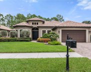 7275 Acorn Way, Naples image