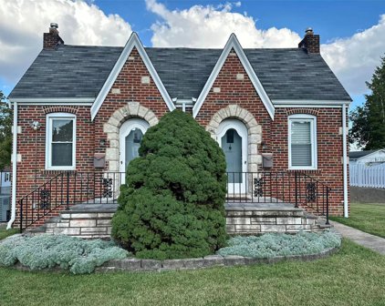 8700 Ivy  Avenue, St Louis