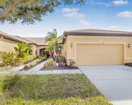 5835 Sunset Falls Drive, Apollo Beach