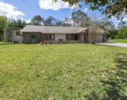 917 Gallberry Court, Bunnell image