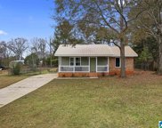 345 Birmingham Street, Montevallo image