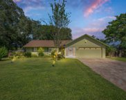 4405 Mohican Trail, Valrico image