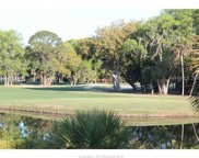 Hilton Head Island image