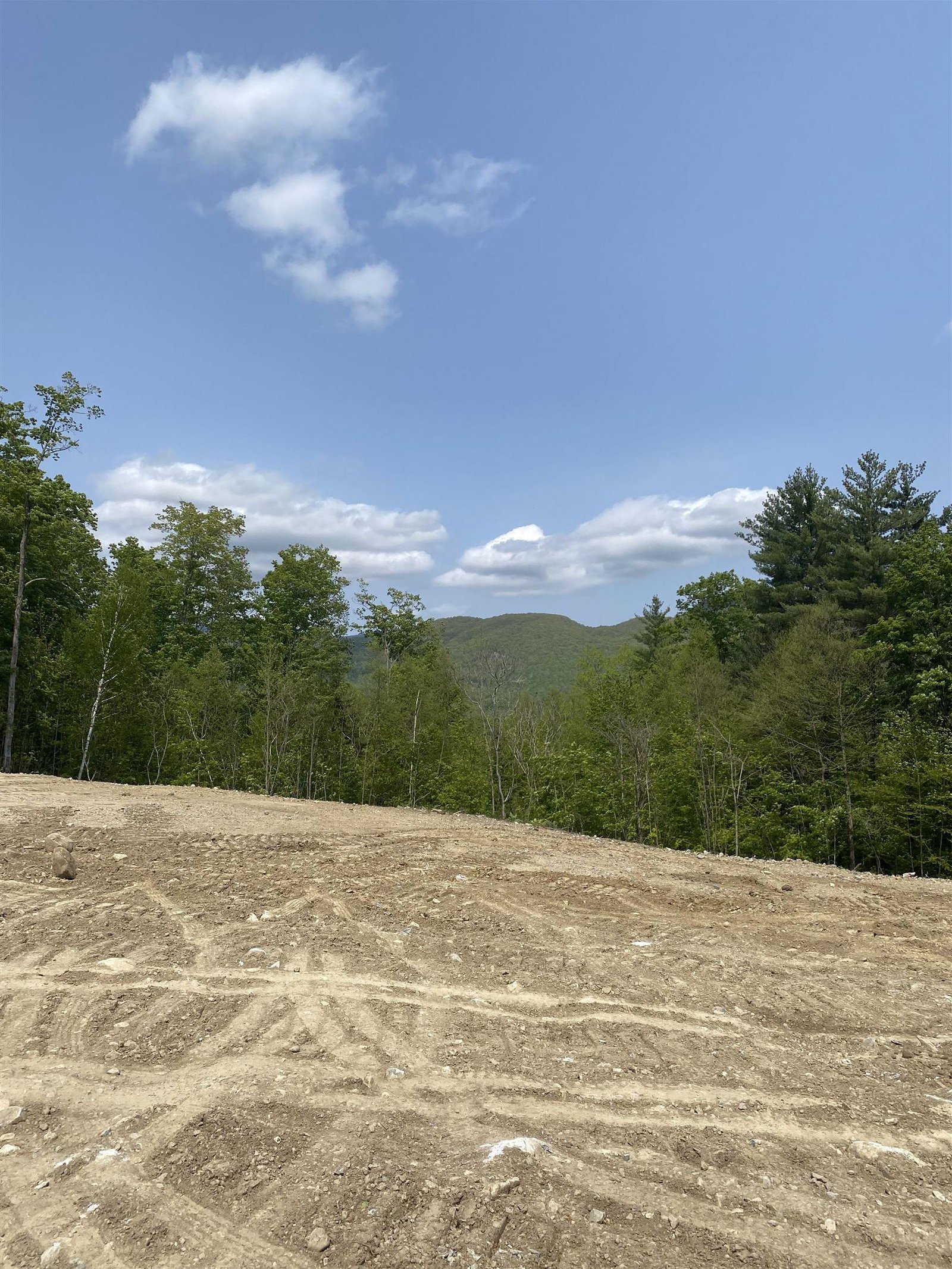 Frost Pond Road, Dorset, 05251