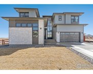 1701 Branching Canopy Dr, Windsor image