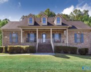 145 Anna Kathryn Drive, Gurley image