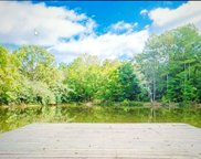 Shady Point Road, Locust Fork image