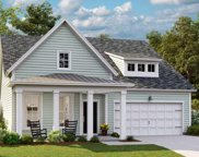 242 Red Bluff Street, Summerville image